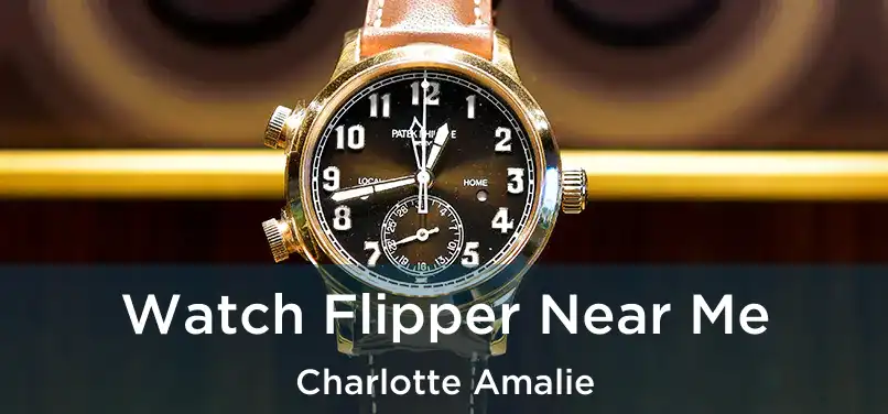  Watch Flipper Near Me Charlotte Amalie